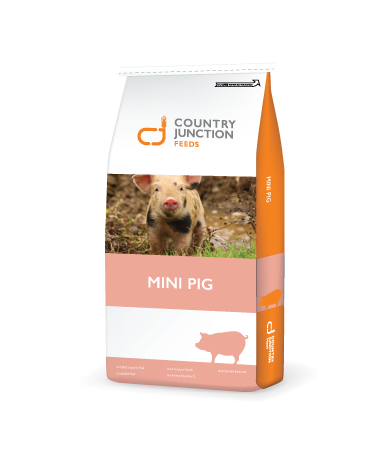 CJ - Mini Pig Adult Maintance Ration - 20kg