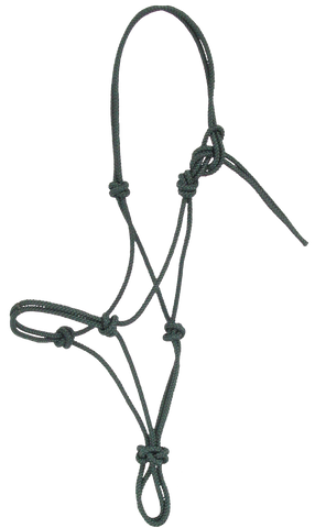 Natural Horse Halter (Yearling, Foal, Average, Large, Warm Blood)