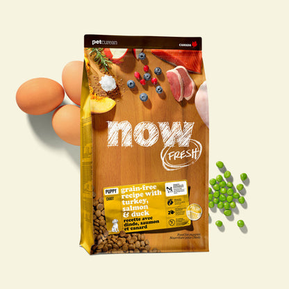 Now - Dog Food - Turkey, Salmon, & Duck