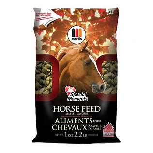 Martin - Special Moments Horse Treat - 1kg