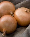 West Coast Seeds - Onions