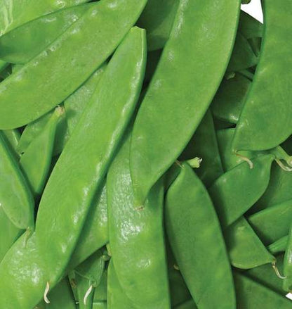 West Coast Seeds - Peas