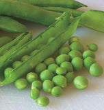 West Coast Seeds - Peas