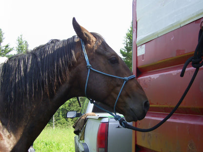 Burwash - 1/4" Marine Line - Horse Rope Halter - Foal