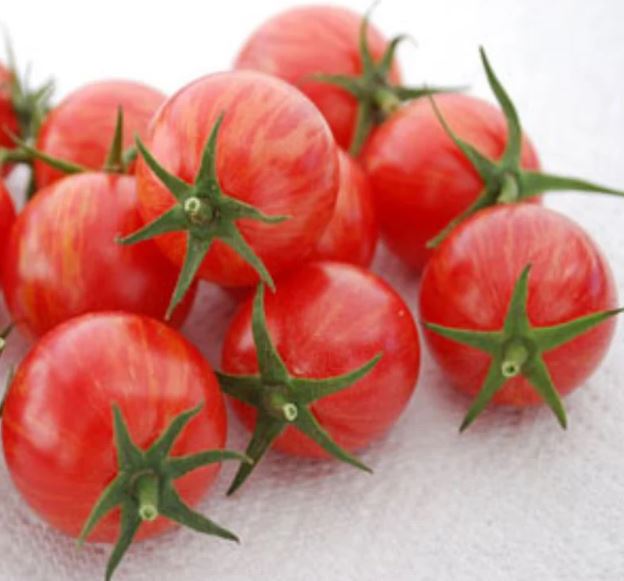 West Coast Seeds - Tomatoes