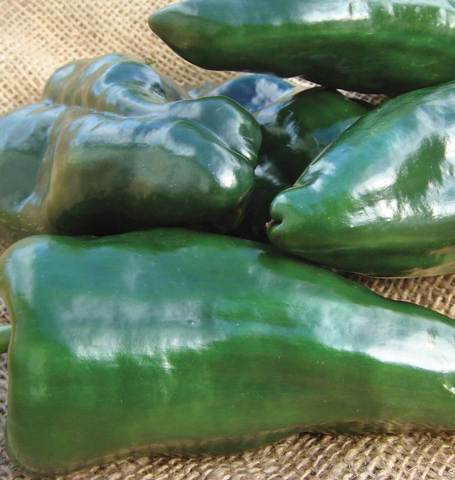 West Coast Seeds - Peppers