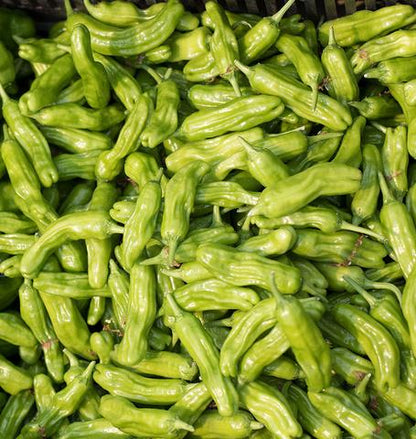 West Coast Seeds - Peppers