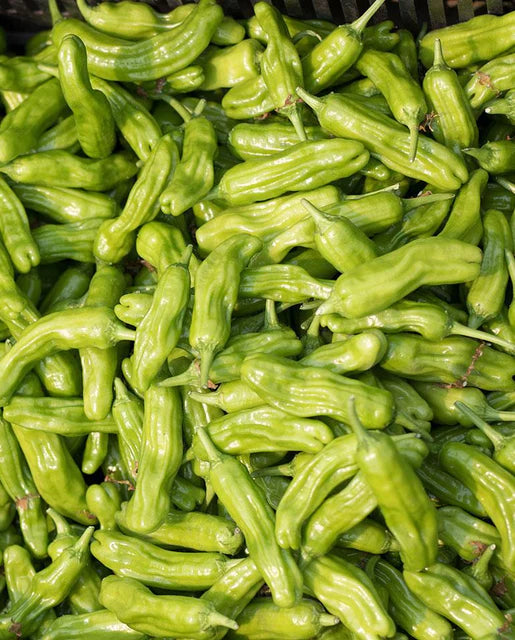 West Coast Seeds - Peppers