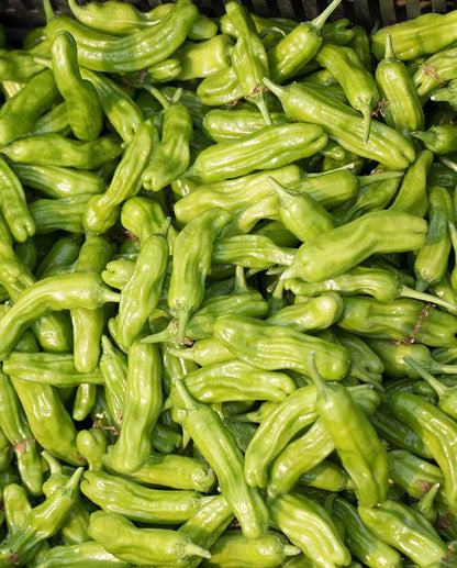 West Coast Seeds - Peppers