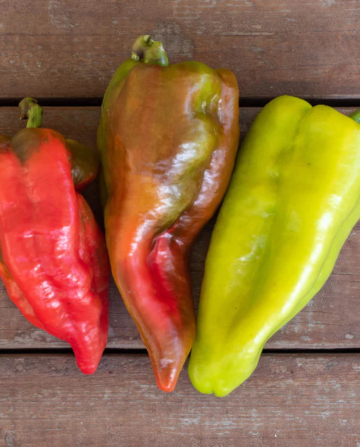 West Coast Seeds - Peppers