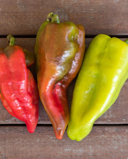 West Coast Seeds - Peppers