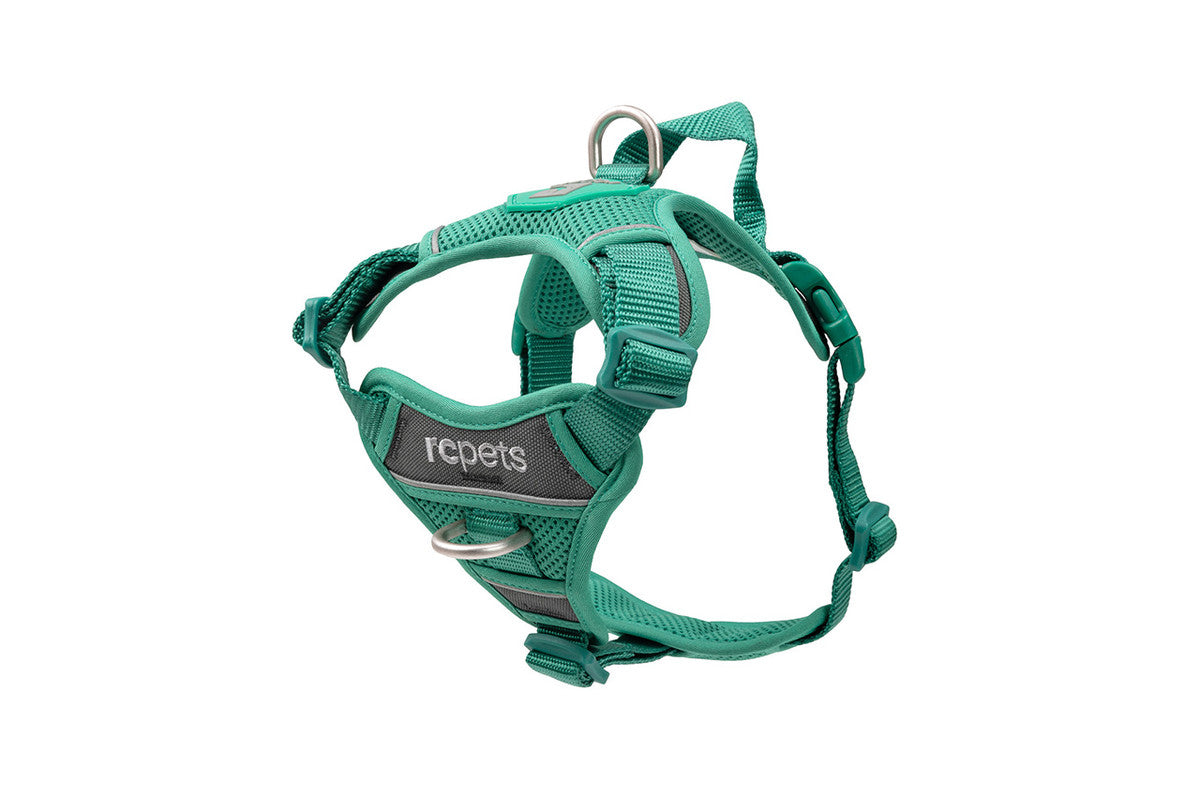 RC Pets - Momentum Harness