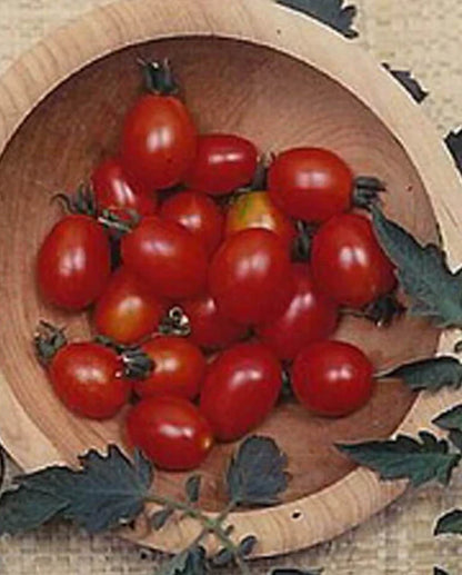 West Coast Seeds - Tomatoes