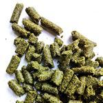 Iron Horse - Top Line (Hemp Meal) - 29%