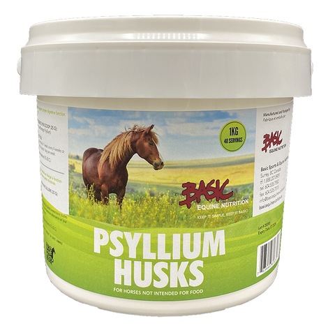 Psyllium Husks Pure - 1kg