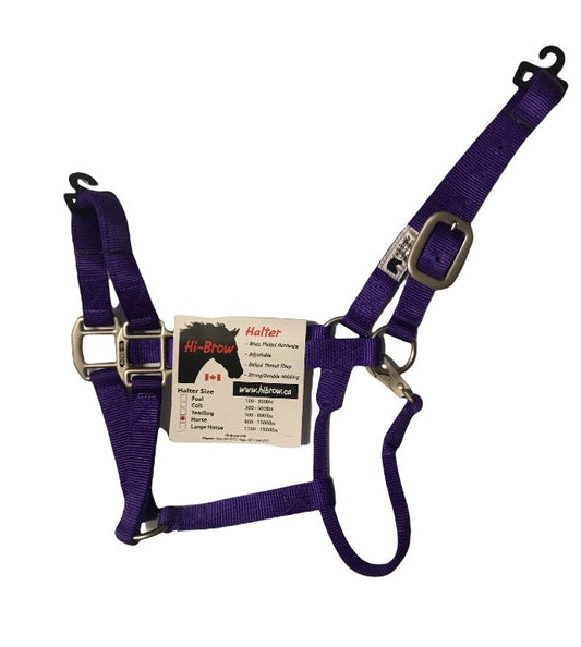 Hi Brow - Premium Halter