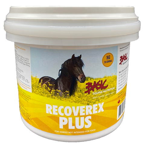 Recoverex Plus - 1kg