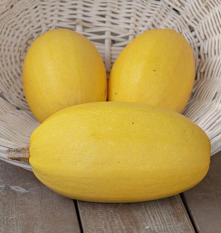 West Coast Seeds - Squash/Pumpkin