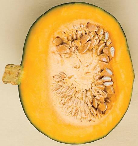 West Coast Seeds - Squash/Pumpkin