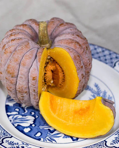 West Coast Seeds - Squash/Pumpkin