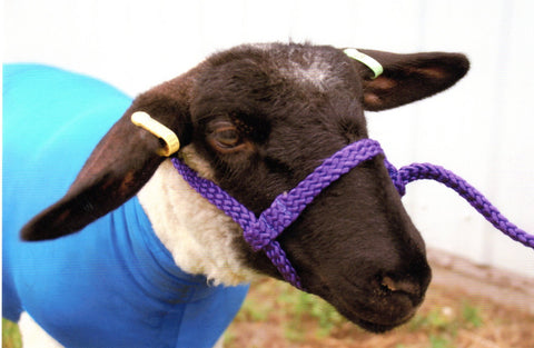 Loft - Sheep / Goat - Rope Halter