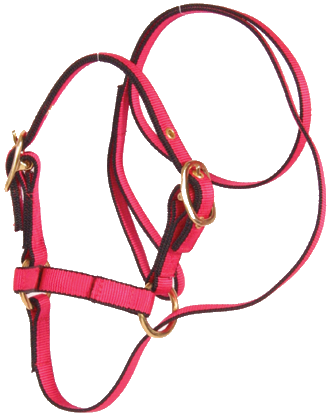 Burwash - Sheep / Goat Nylon Web Halter