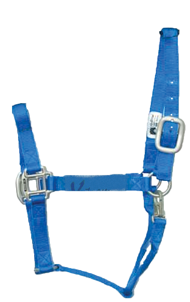 Hi Brow - Premium Halter