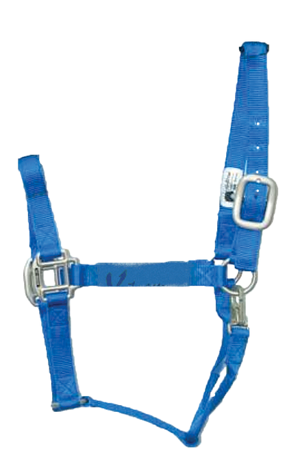 Hi Brow - Premium Halter