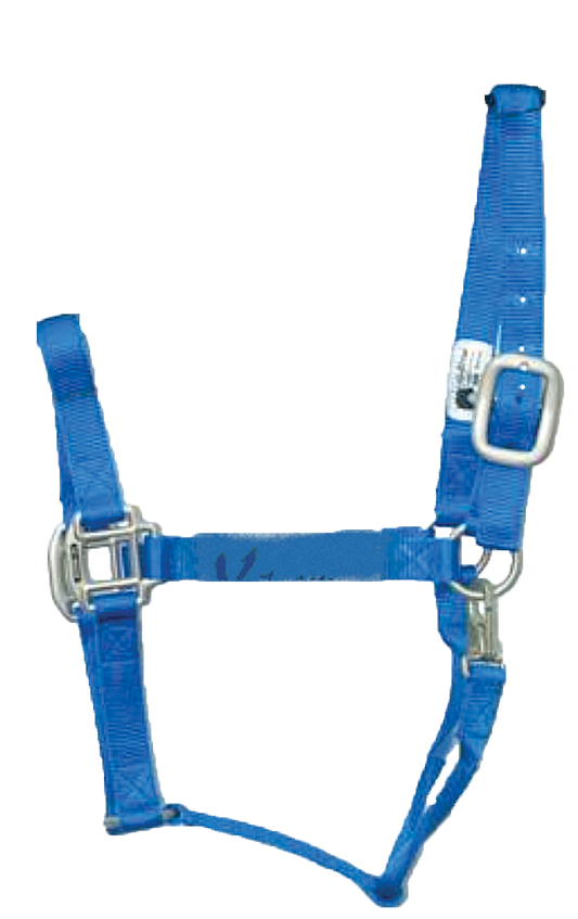 Hi Brow - Premium Halter