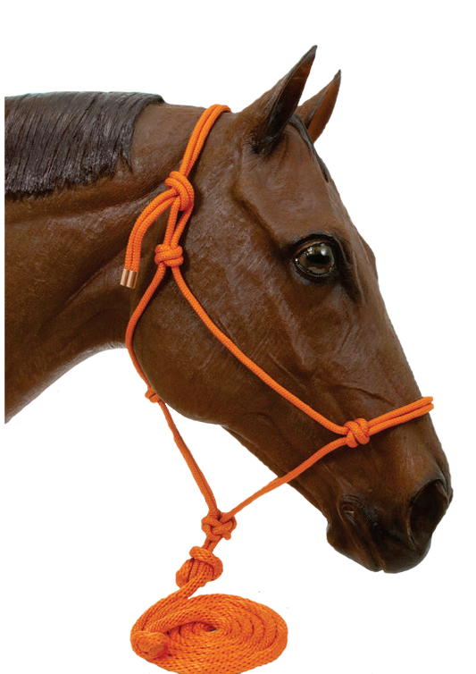Hi Brow - Rope Horse Halter with 10 ft Lead