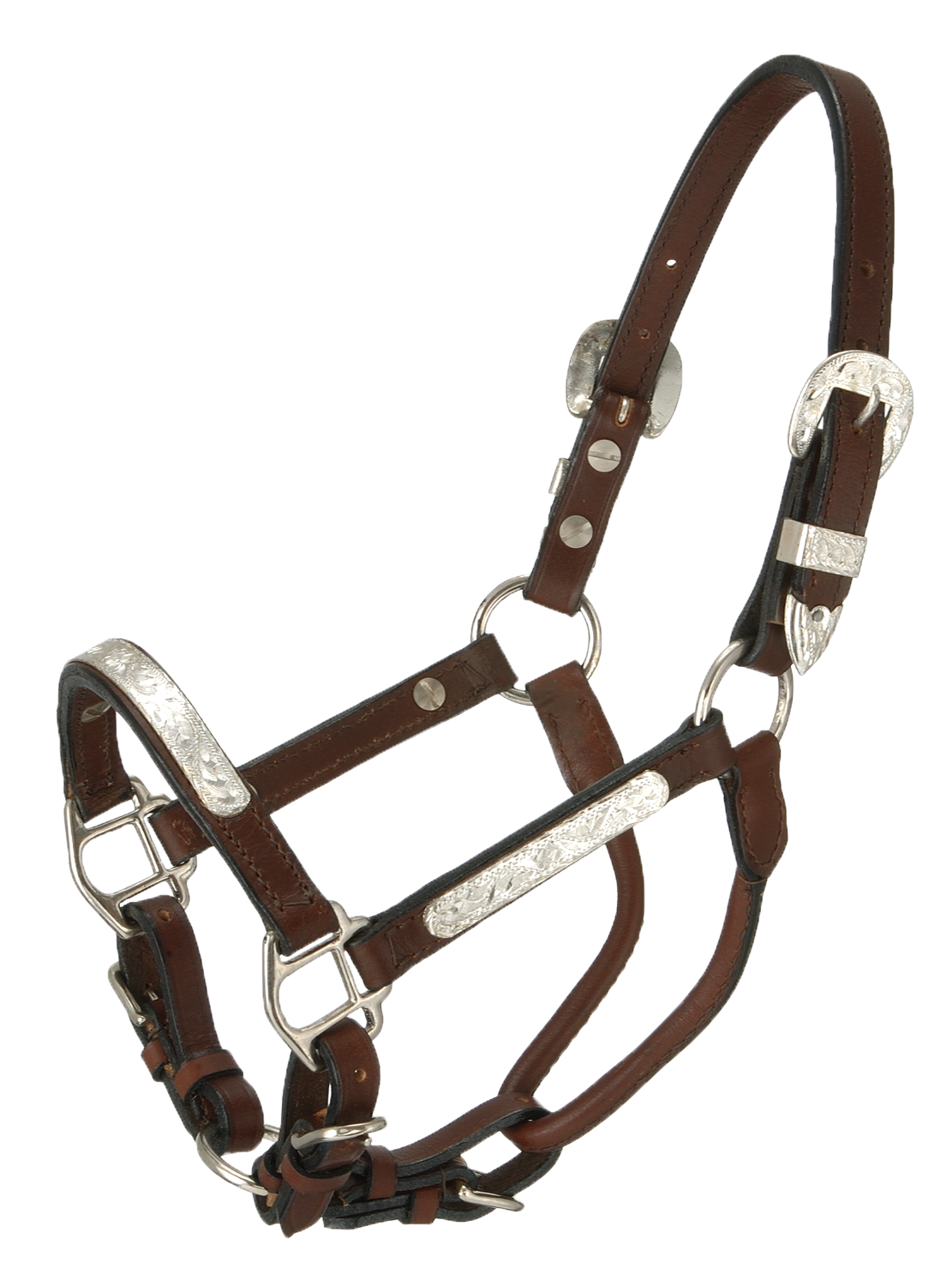 Miniature Horse -  Silver Bar Show Halter w/Chain Lead