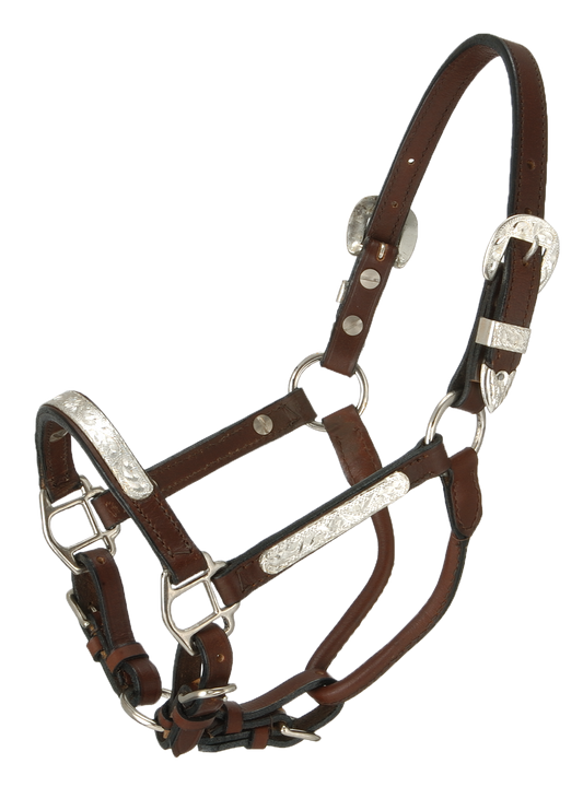 Miniature Horse -  Silver Bar Show Halter w/Chain Lead