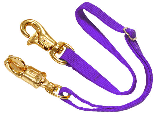 Adjustable Trailer Tie Webbing - Tough One