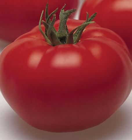 West Coast Seeds - Tomatoes