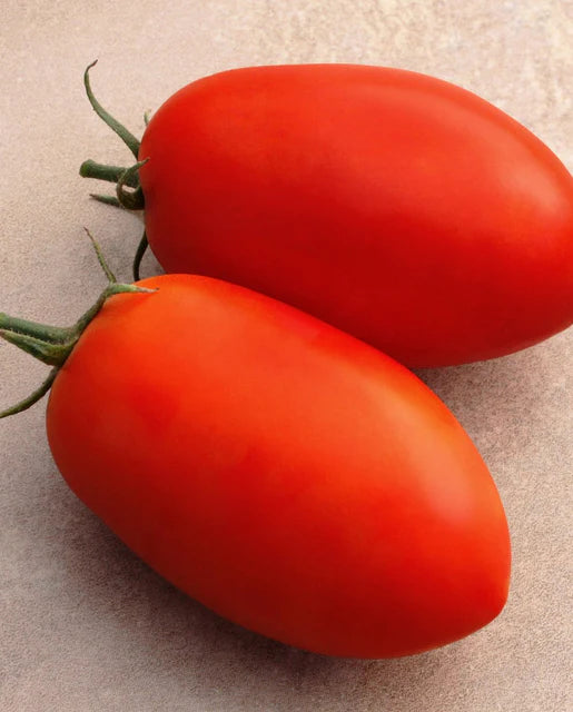 West Coast Seeds - Tomatoes