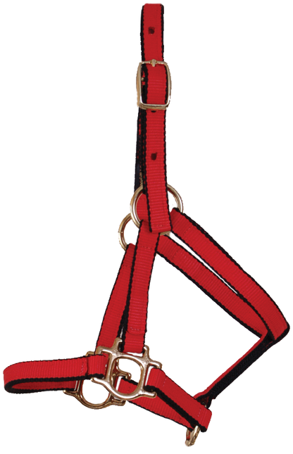 Burwash - Ultimate Horse Halter - Foal