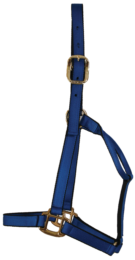 Burwash - No Throat Snap - Ultimate Horse Halter - (5 Ring Special Order)