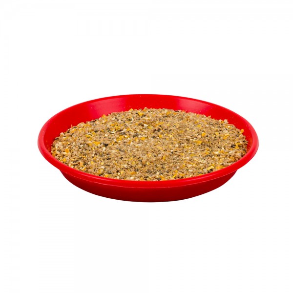 Feeding Tray for Chicks