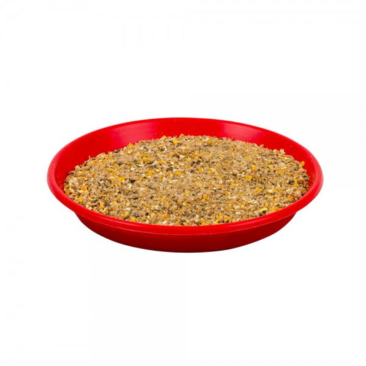 Feeding Tray for Chicks