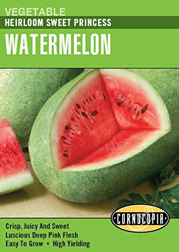 Cornucopia - Squash/Melon/Cucumber Seeds