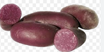 Seed Potatoes - Arriving in April