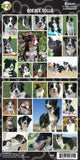 Dog Breed Stickers