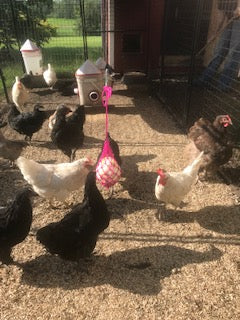 True North - Chicken Treat Net