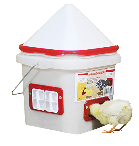 Chick Port Feeder