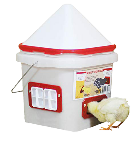 Chick Port Feeder