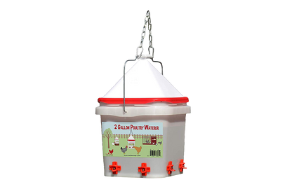 Nipple Chicken Water - Corner Placement