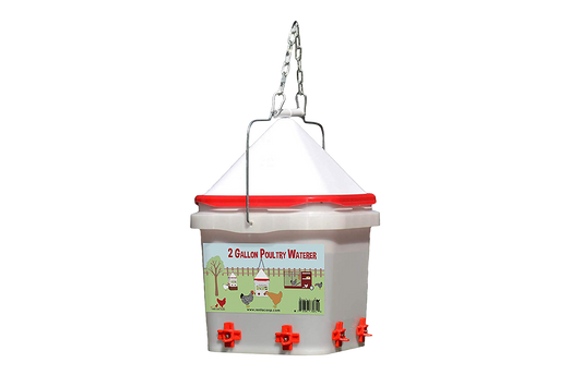 Nipple Chicken Water - Corner Placement