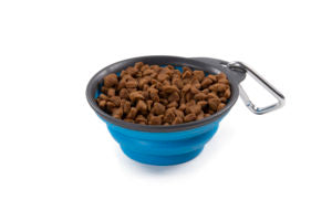 Dexas Collapsible Travel Cup