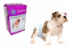 PoochPad Disposable Diapers