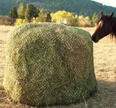 Hashbrowns Homestead Supplies,hay net